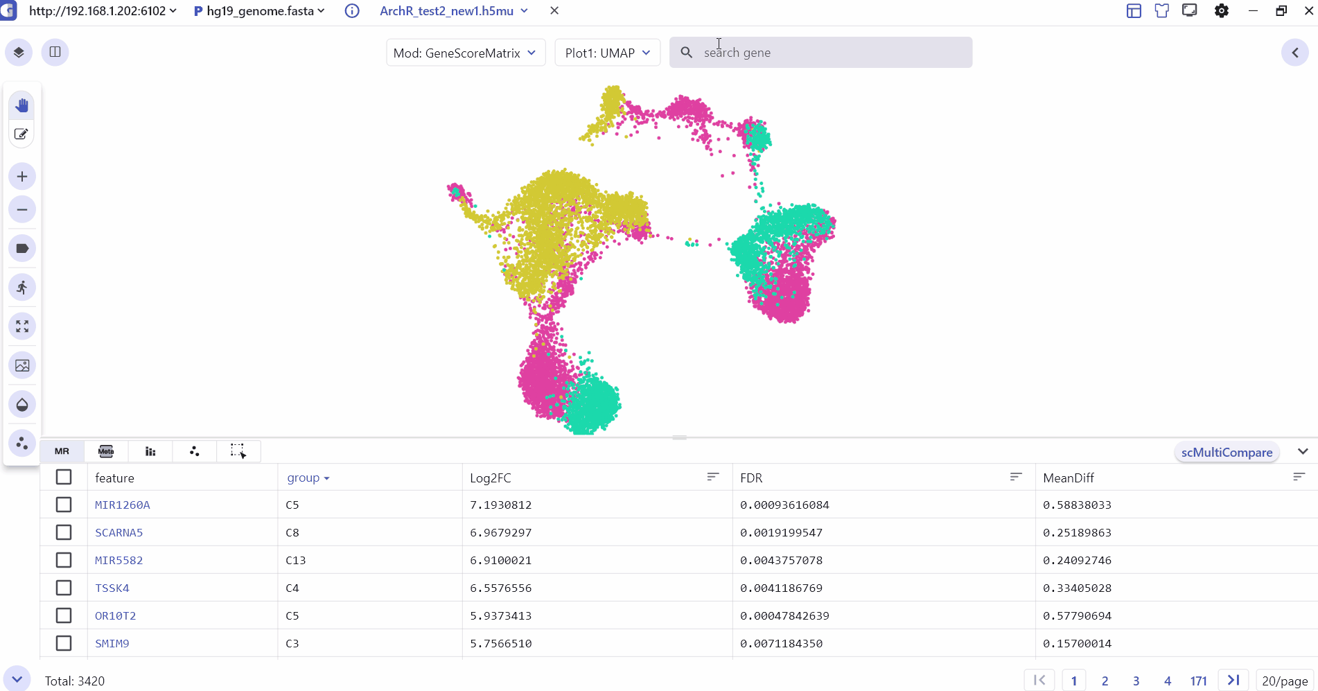 Feature Expression