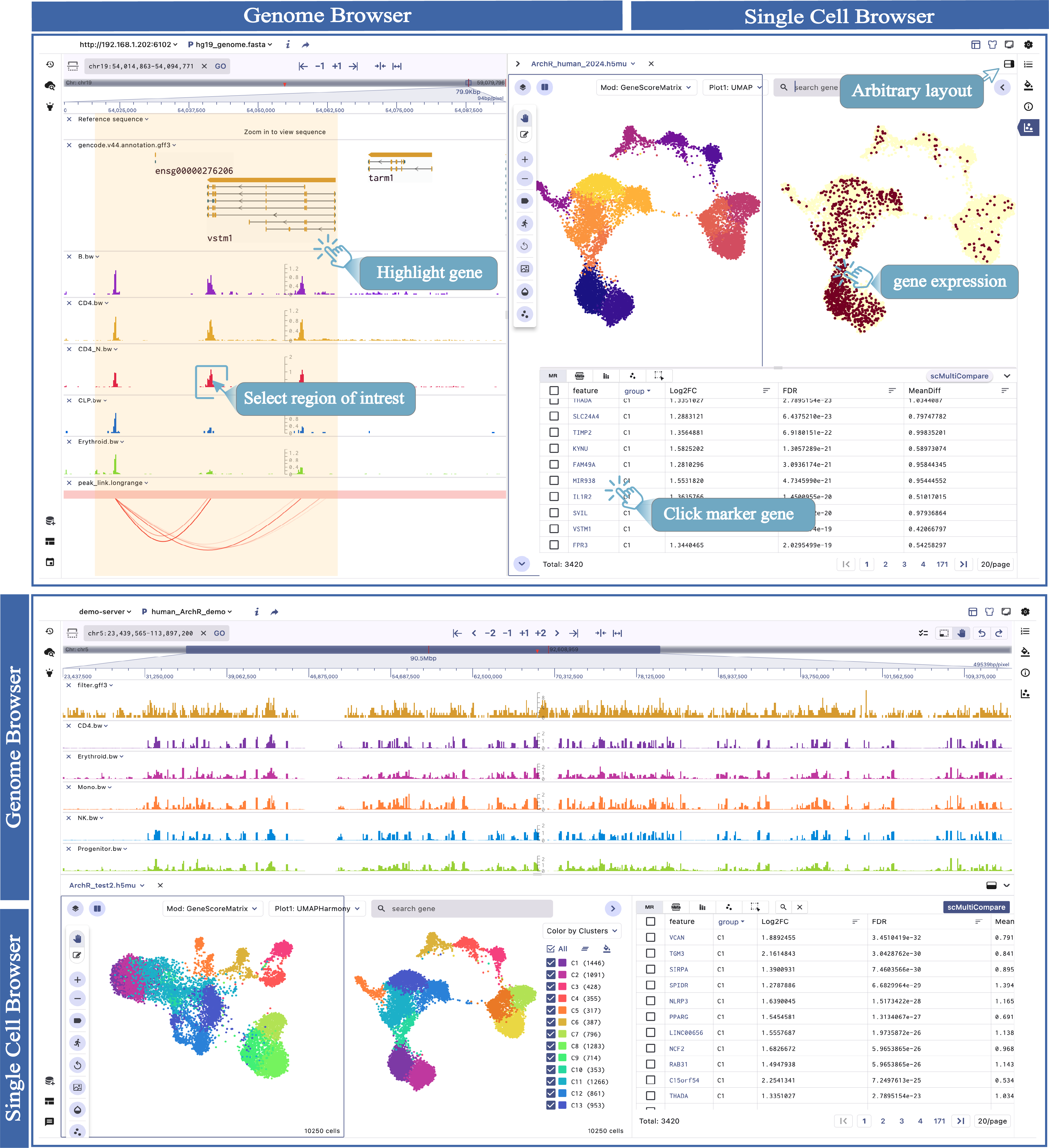 cell embeddings