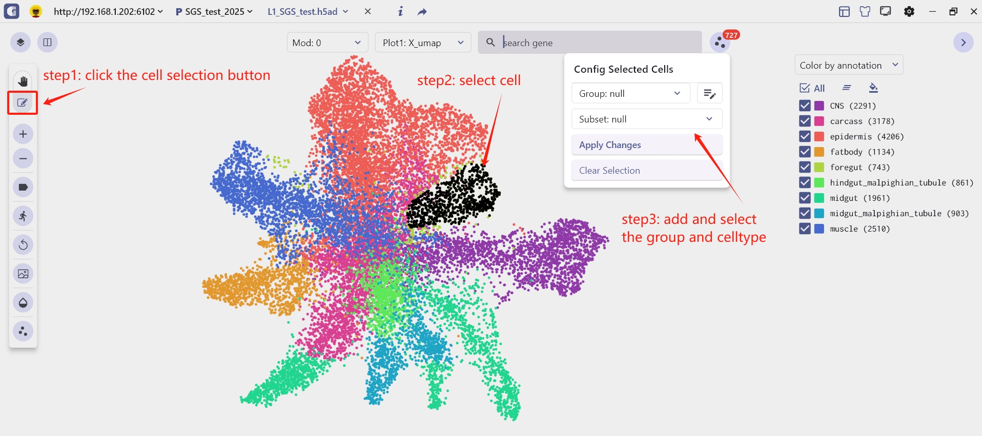 Cell Selection